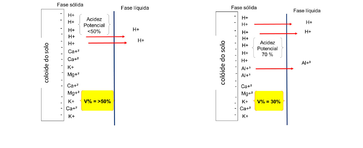 Acidez do solo e desenvolvimento de gramados