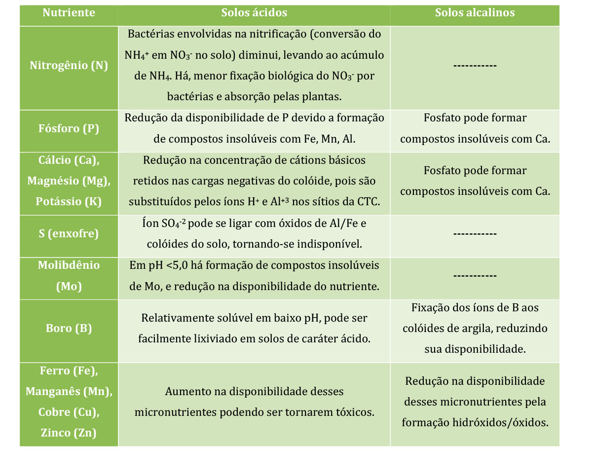 Acidez do solo e desenvolvimento de gramados