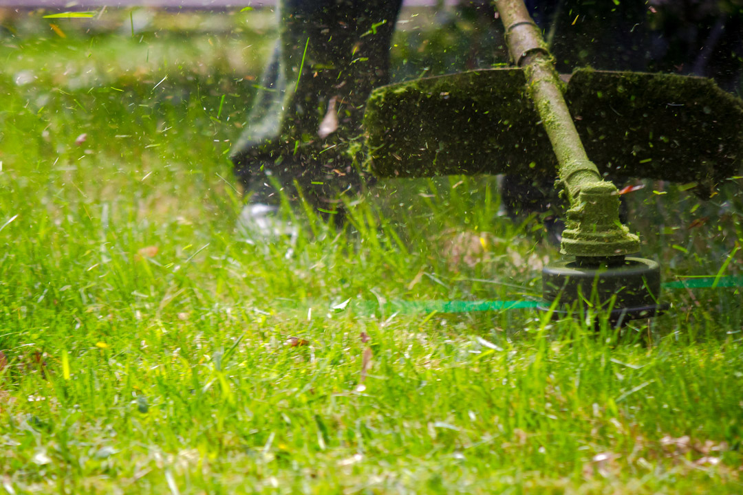 Danos causados pela roçada