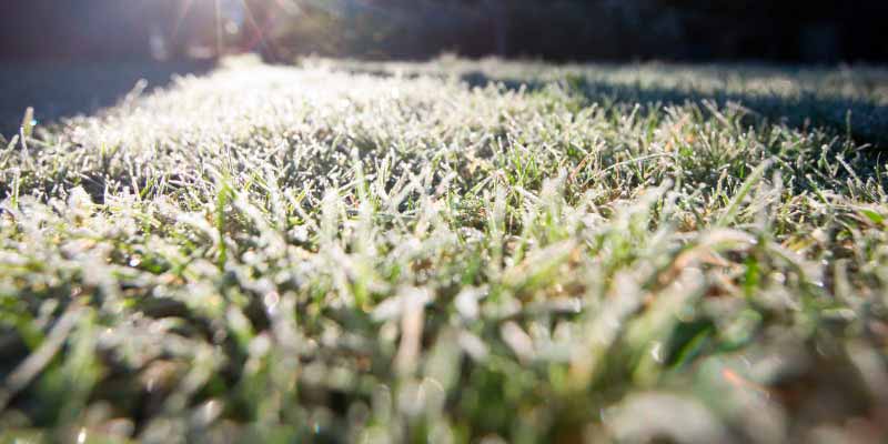 Cuidados com gramados durante o inverno