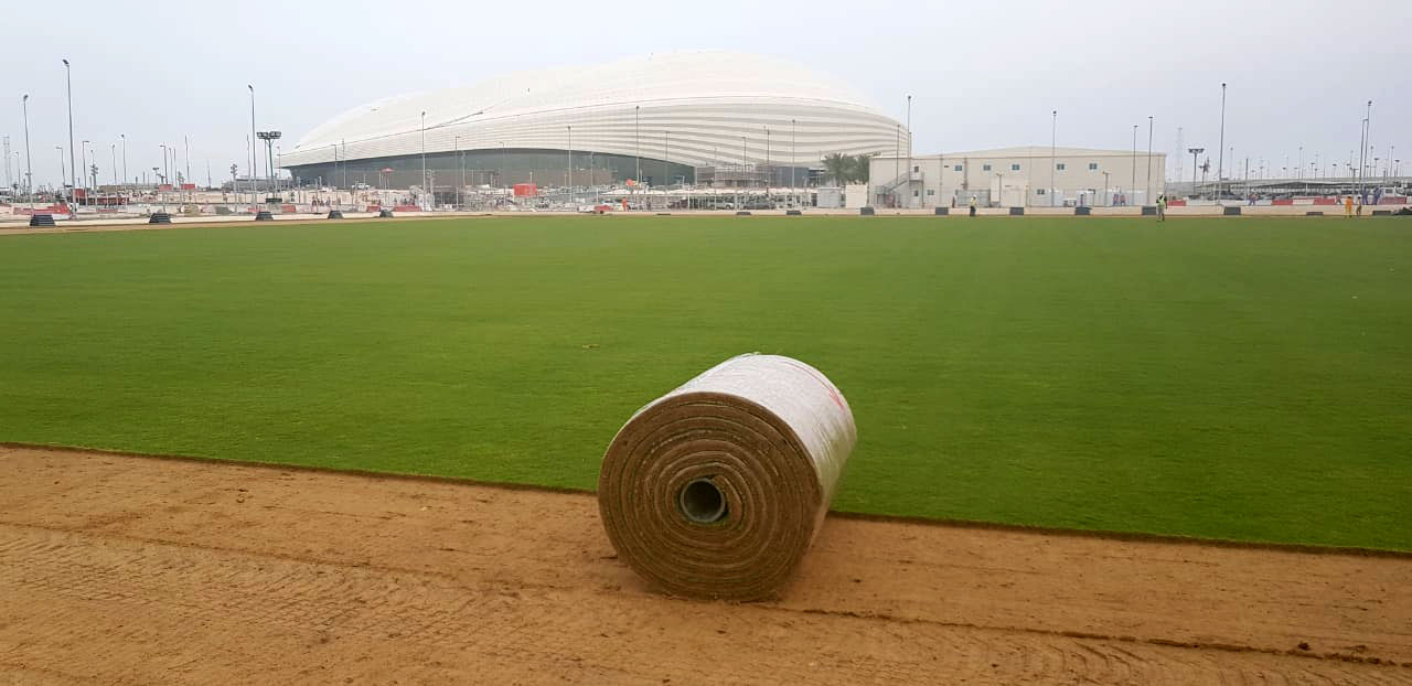 A grama dos estadios da copa do mundo do catar é mesmo nativa do Brasil?