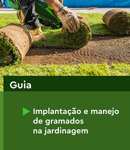 Implantação e manejo de gramados na jardinagem