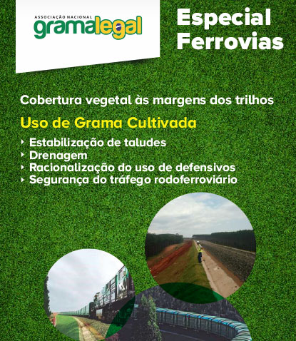 Especial Ferrovias